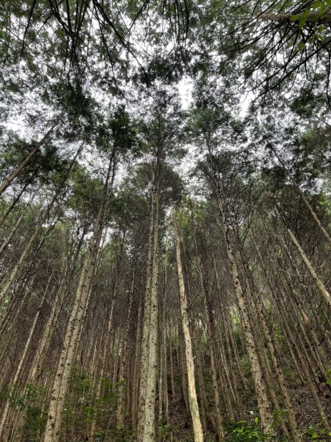 全国労働衛生週間